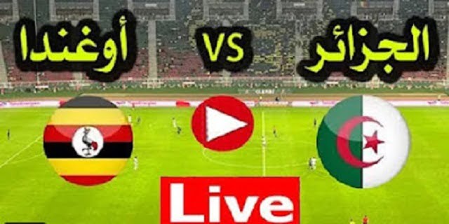 مباراة الجزائر واوغندا بث مباشر