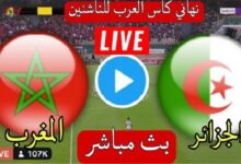 مباراة الجزائر والمغرب مباشر اليوم