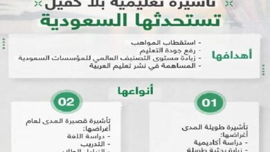 السعودية تسمح لثلاث فئات دخول المملكة بدون كفيل