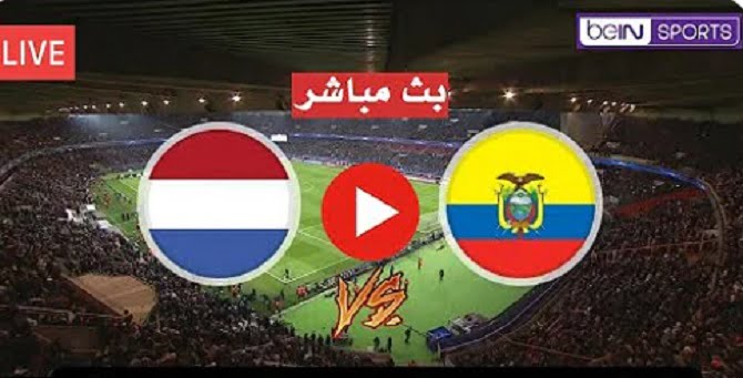 مباراة هولندا والإكوادور بث مباشر كورة لايف